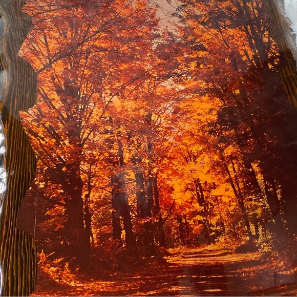 Vintage 70’s Groovy Wood Lacquered Woods Forrest Image Wall Hanging Plaque - Picture 4 of 11